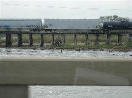 DSCN0785.JPG