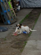 DSCN0916.JPG
