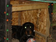 DSCN0917.JPG