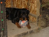 DSCN0918.JPG