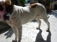 DSCN0920.JPG