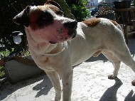 DSCN0921.JPG
