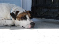 DSCN0922.JPG