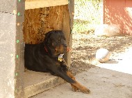 DSCN0924.JPG