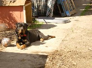 DSCN0926.JPG